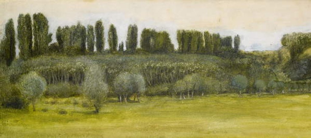 Detail of Landscape with Willows and Poplars, Study by Edward Coley Burne-Jones