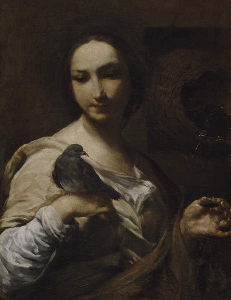 Detail of Girl Holding a Dove, 1721-27 by Giuseppe Maria Crespi