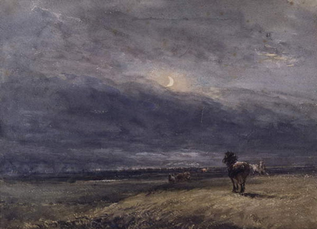 Detail of The Night Train by David Cox