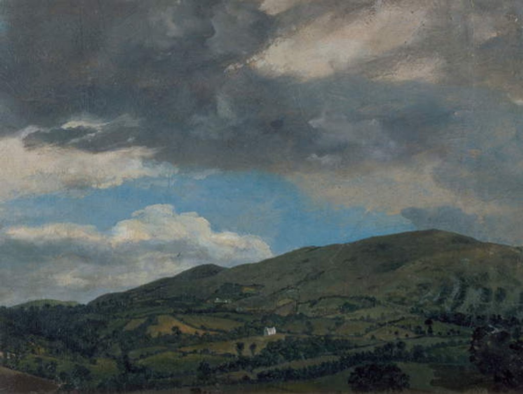 Detail of Penkerrig, Wales, 1772 by Thomas Jones