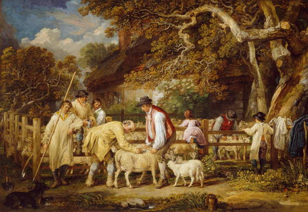 Detail of Sheep Salving, 1828 by James Ward