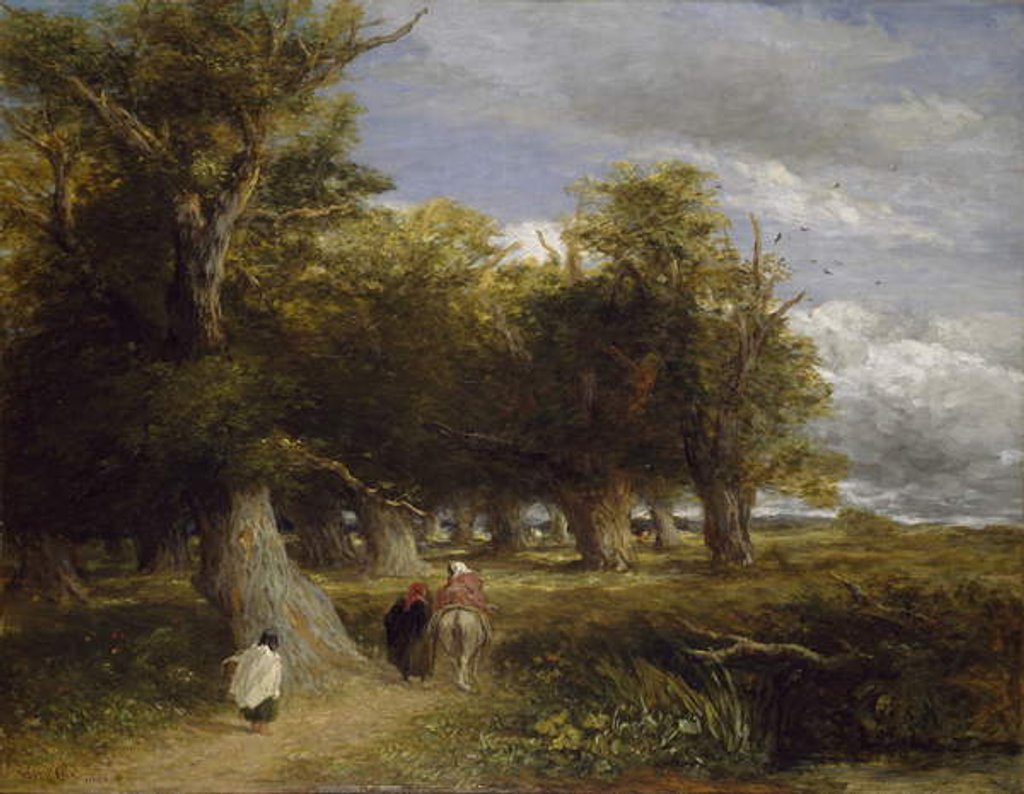 Detail of Skirts of the Forest, 1855 by David Cox