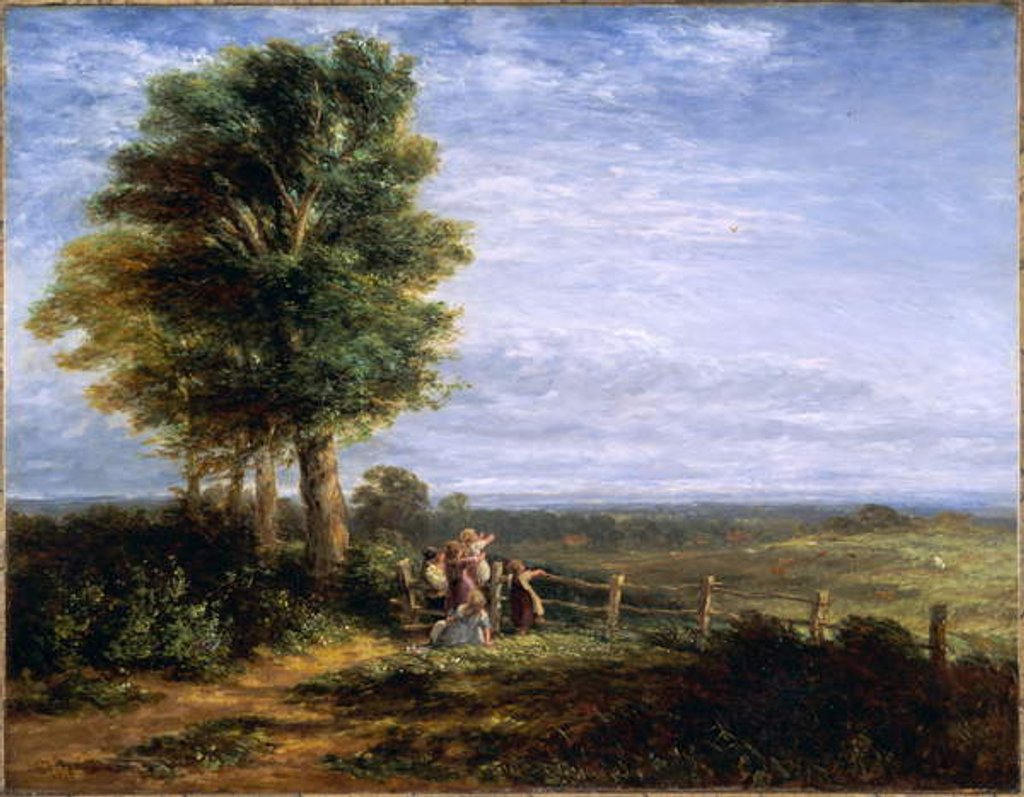 Detail of The Skylark, 1849 by David Cox