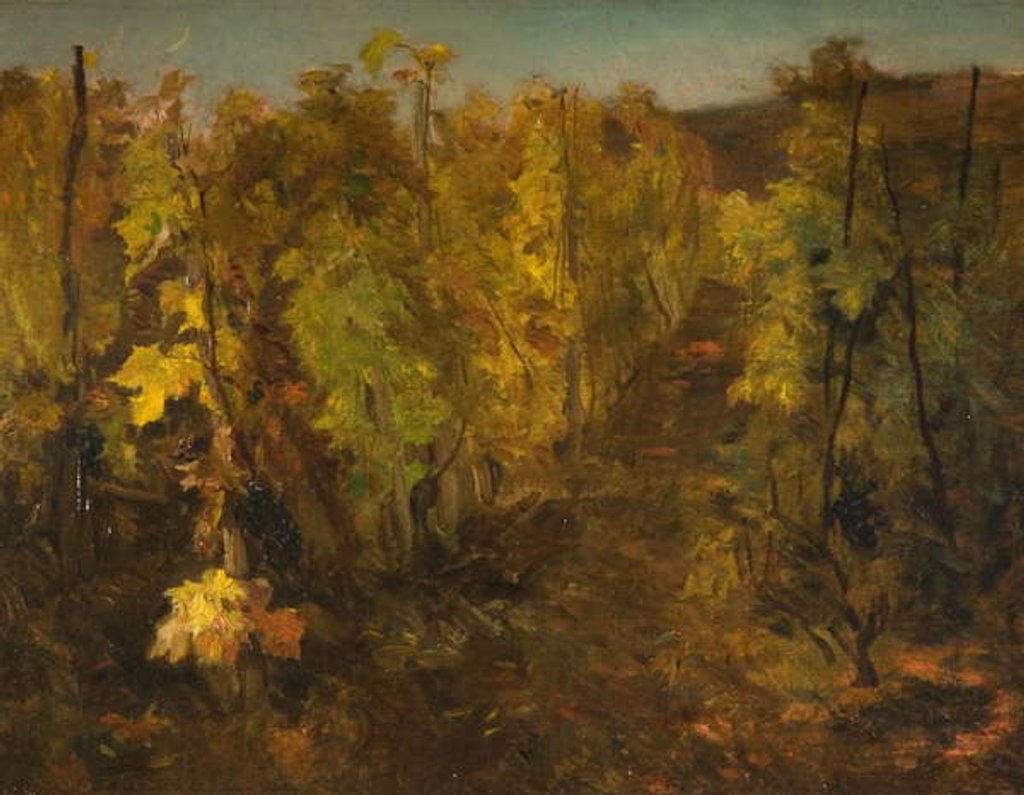 Detail of La Vigne, 1860-1863 by Charles Francois Daubigny