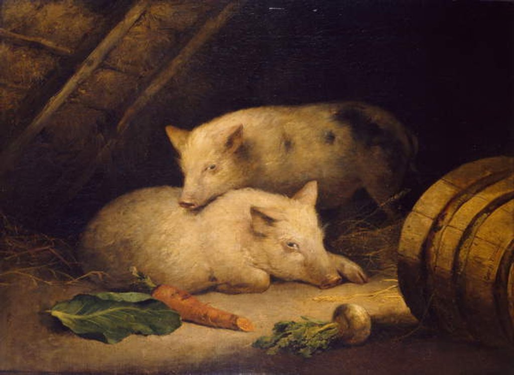 Detail of Pigs, 1775-1800 by George Morland