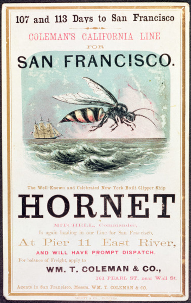 Detail of Poster advertising the 'Hornet' clipper ship from New York to San Francisco by American School