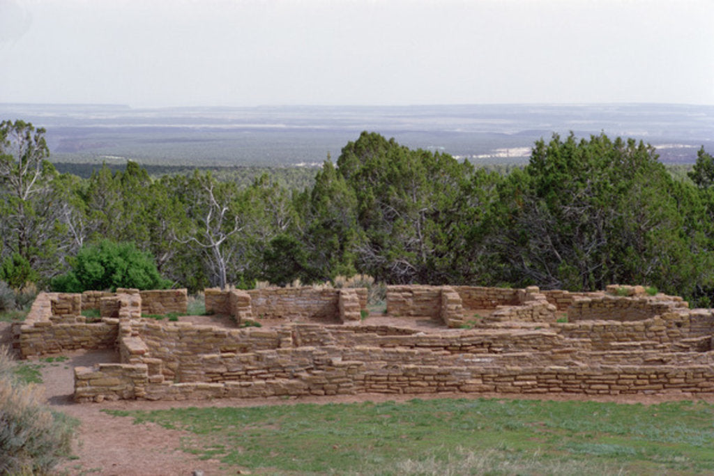 Detail of Remains of Pueblo Indian dwellings, built 11th-14th century by Anonymous