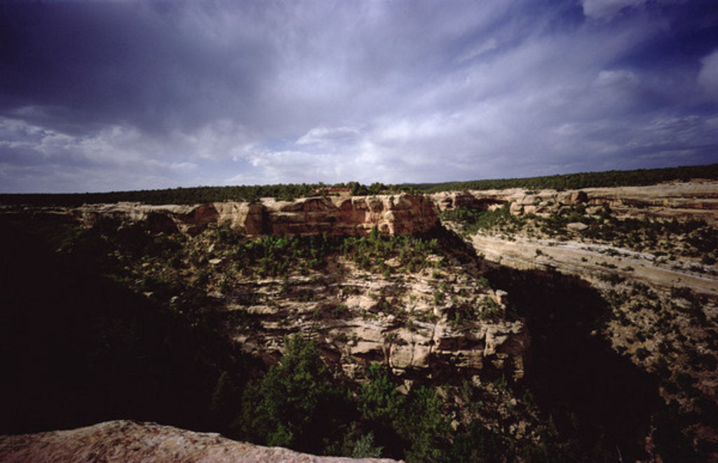 Detail of A view of the surrounding landscape by Anonymous