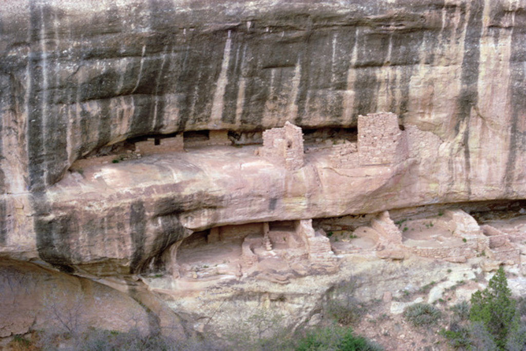 Detail of Remains of Pueblo Indian cliff dwellings, built 11th-14th century by Anonymous