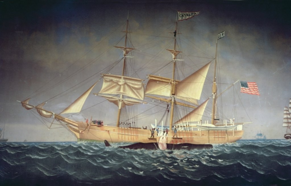 Detail of The 'Catalpa' with whale by American School