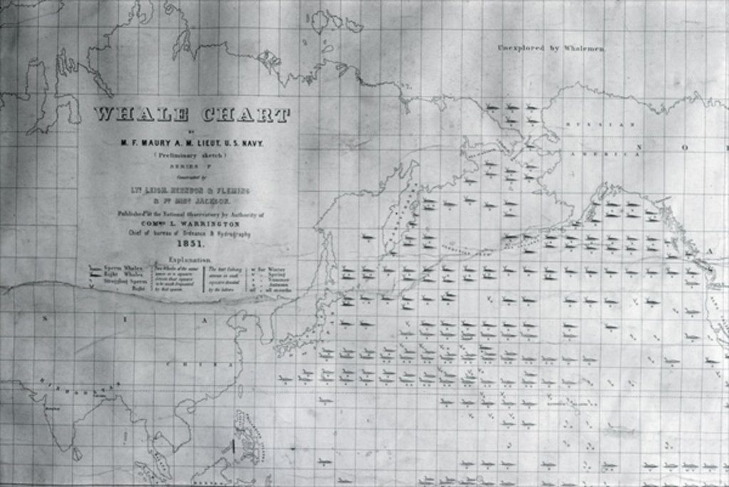 Detail of Whale Chart of the North Pacific, 1851 by American School