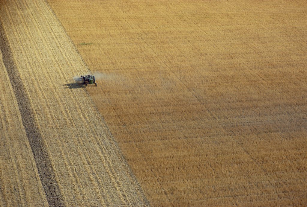 Detail of A tractor harvesting by Anonymous