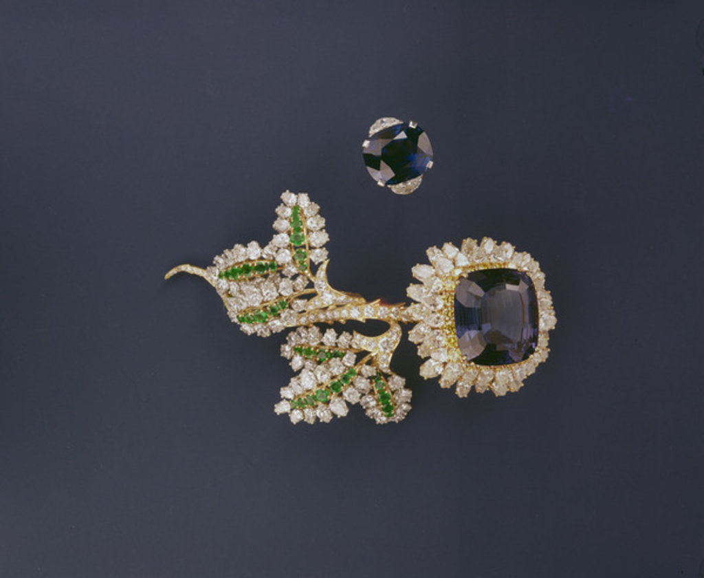 Detail of Brooch and ring by Anonymous