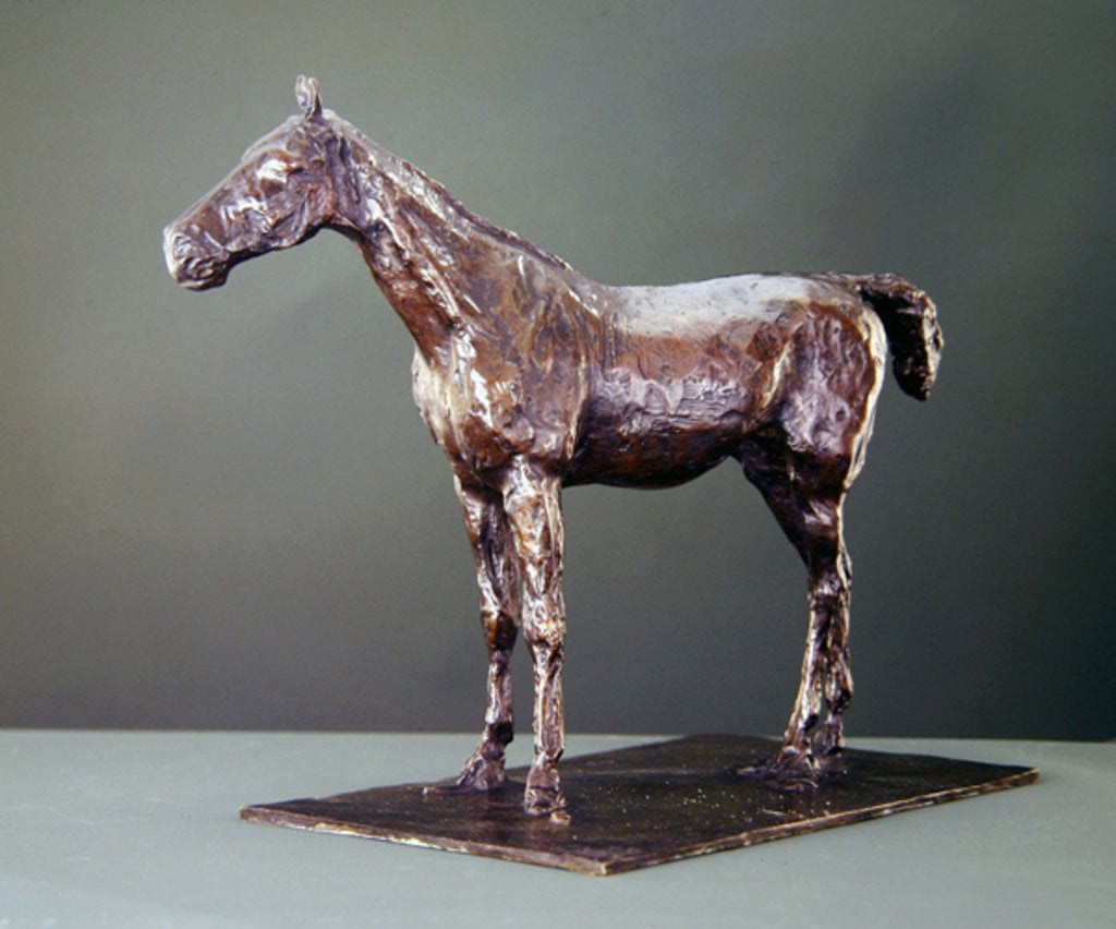 Detail of Standing Horse by Edgar Degas