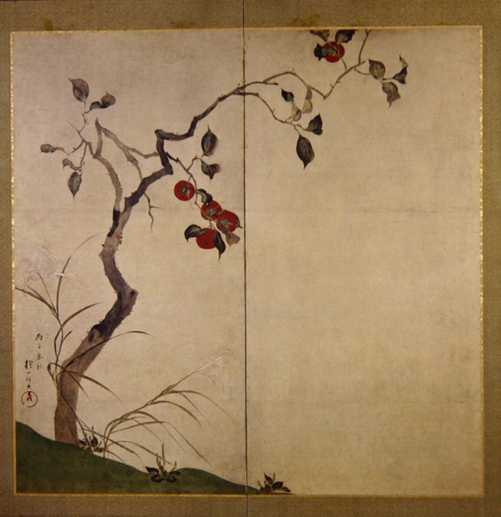 Detail of Persimmon on Tree by Sakai Hoitsu