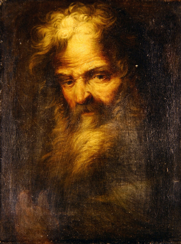Detail of Bearded prophet by Salvator Rosa