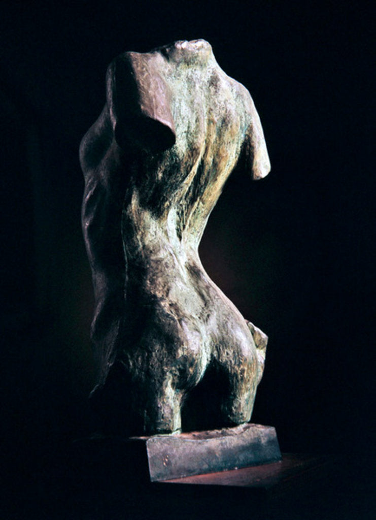 Detail of Torso of a Young Woman, 1909 by Auguste Rodin