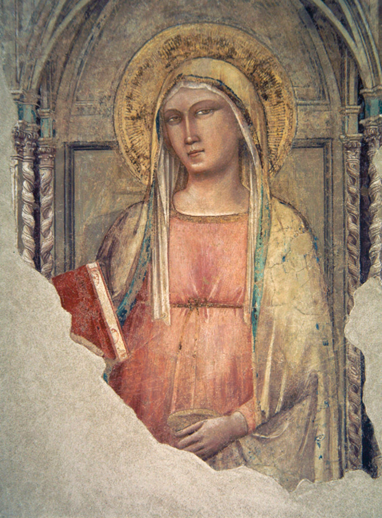 Detail of Madonna del Parto by Taddeo Gaddi