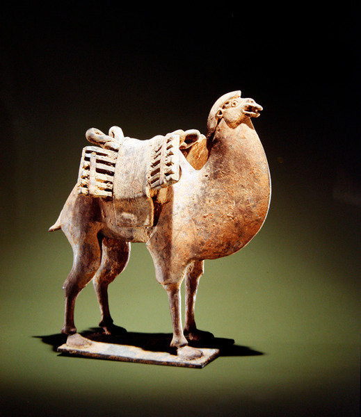 Detail of Camel, mid to late 6th century, Northern Wei-Northern Qi dynasty by Chinese School