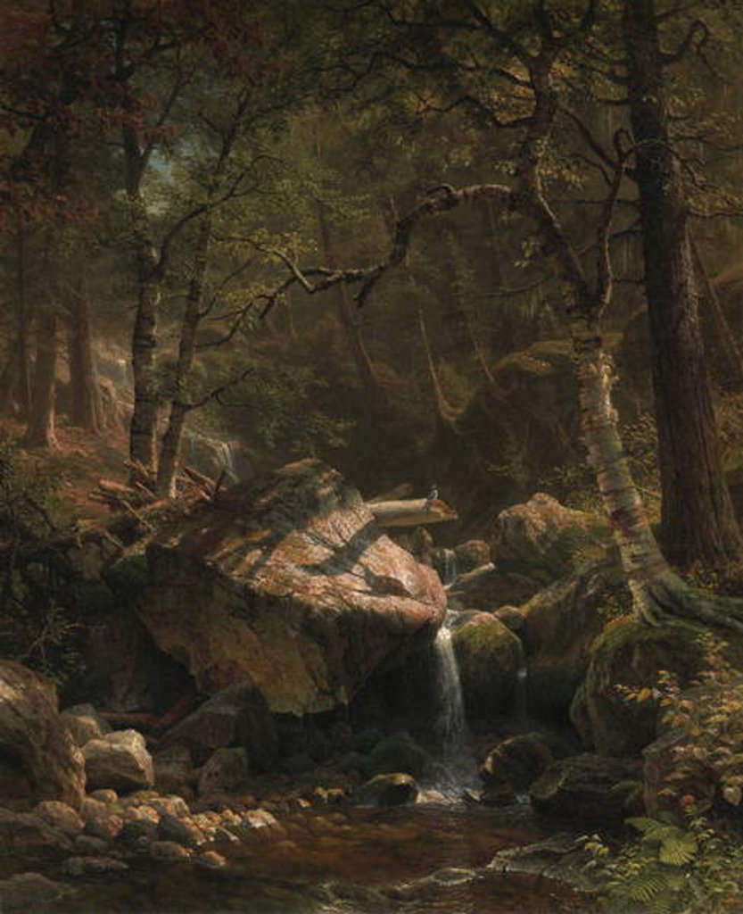 Detail of Mountain Brook, 1863 by Albert Bierstadt