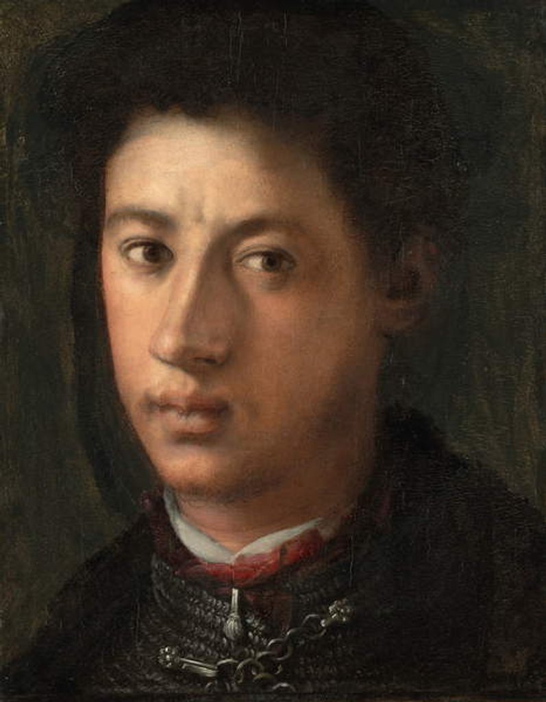 Detail of Alessandro de' Medici, 1534-35 by Jacopo Pontormo