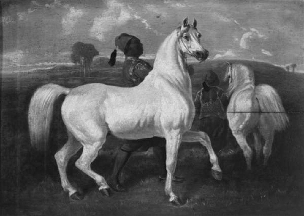 Detail of Arabian Horses, 19th century by Eugene Fromentin