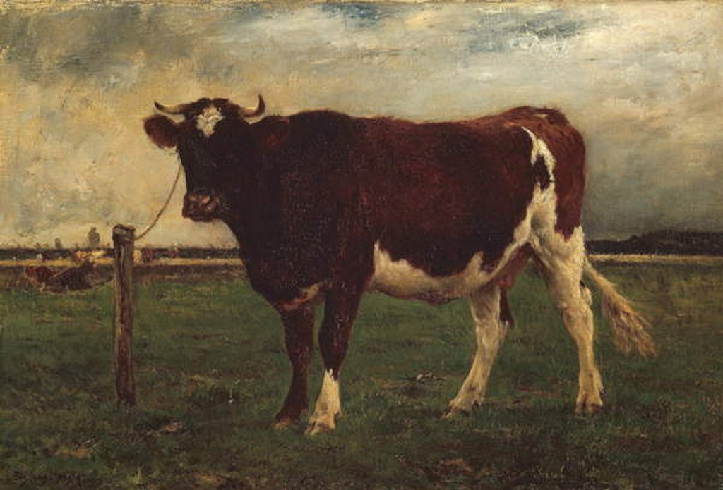 Detail of Study of a Cow, 1870-90 by Emile van Marcke de Lummen