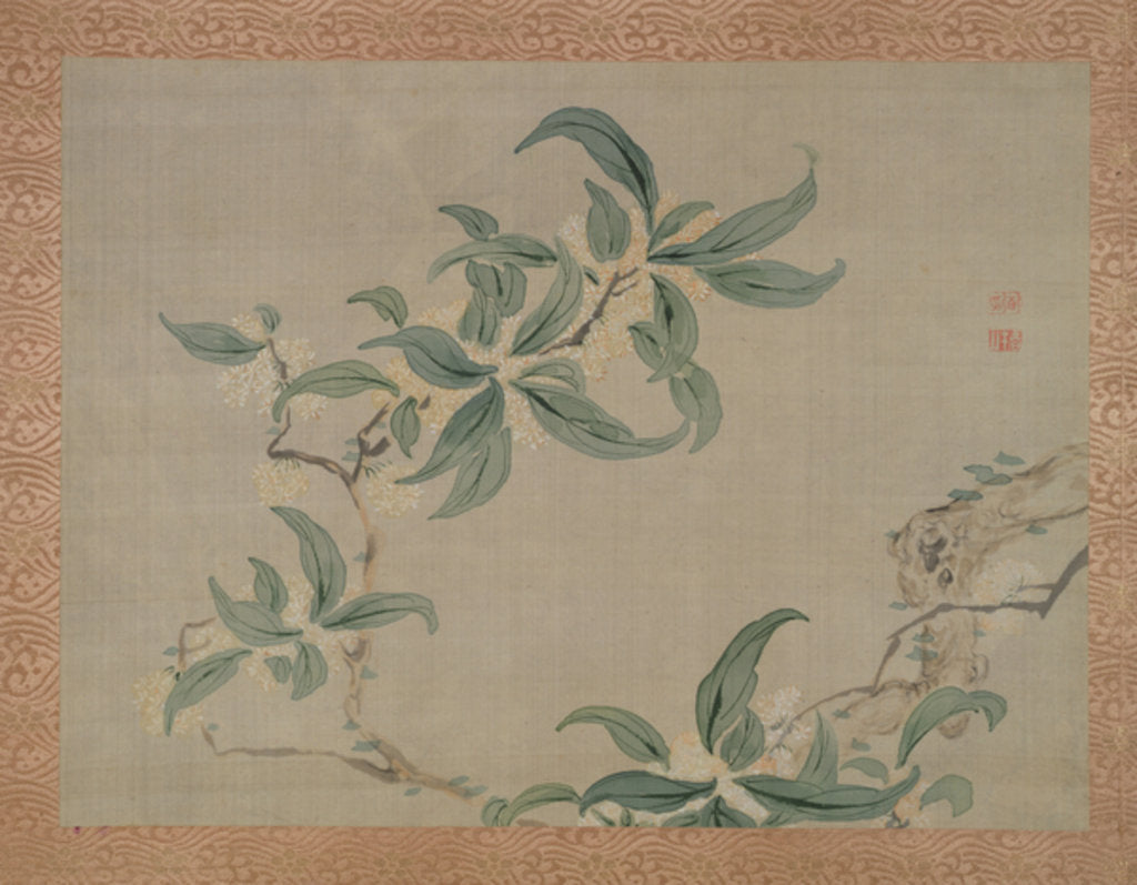Detail of Blossom, 1851 by Tsubaki Chinzan