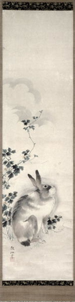 Detail of Hare, c.1800 by Sosen Mori