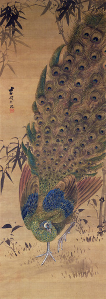 Detail of Peacock and bamboo by Japanese School