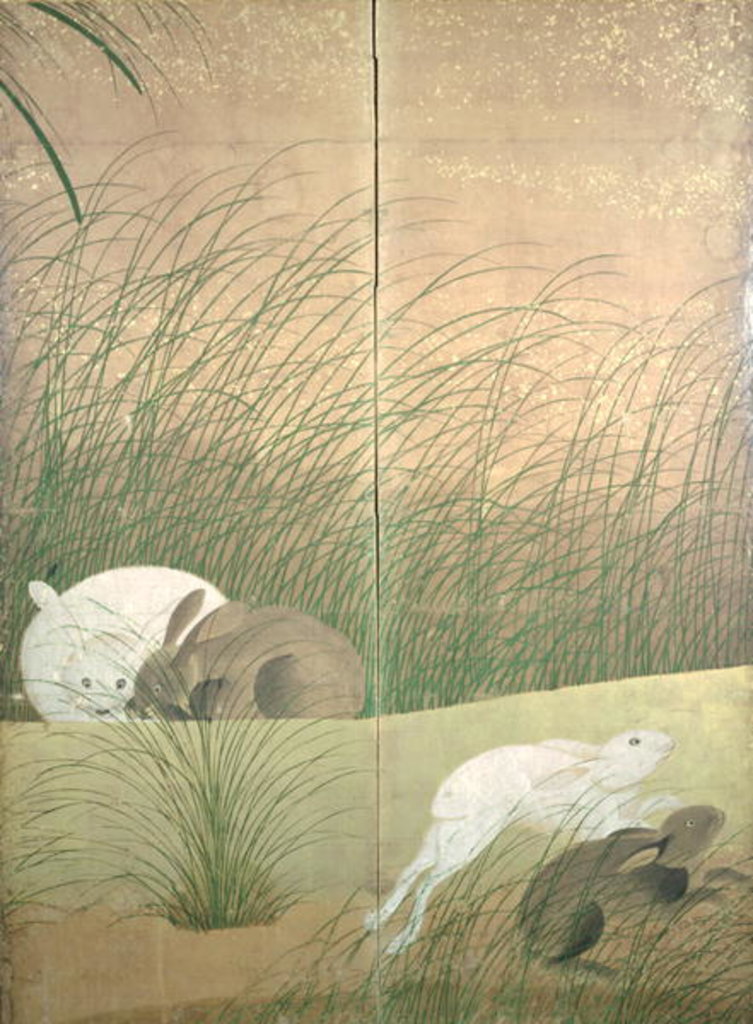 Detail of Hares and autumn grasses, c.1700 by Japanese School