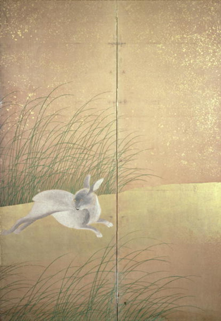 Detail of Hares and autumn grasses, c.1700 by Japanese School