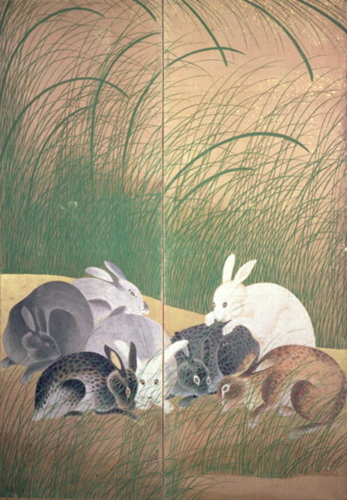 Detail of Hares and autumn grasses, c.1700 by Japanese School