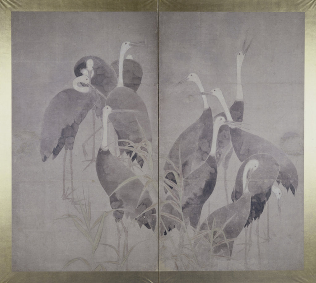 Detail of Eleven female cranes standing in dry reed bed, c.1700-50 by Ogata Korin