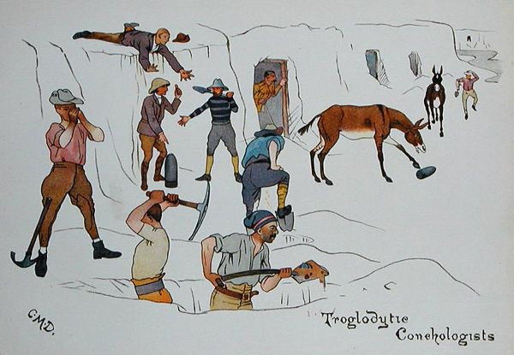 Detail of Troglodytic Conchologists by Captain Clive Dixon