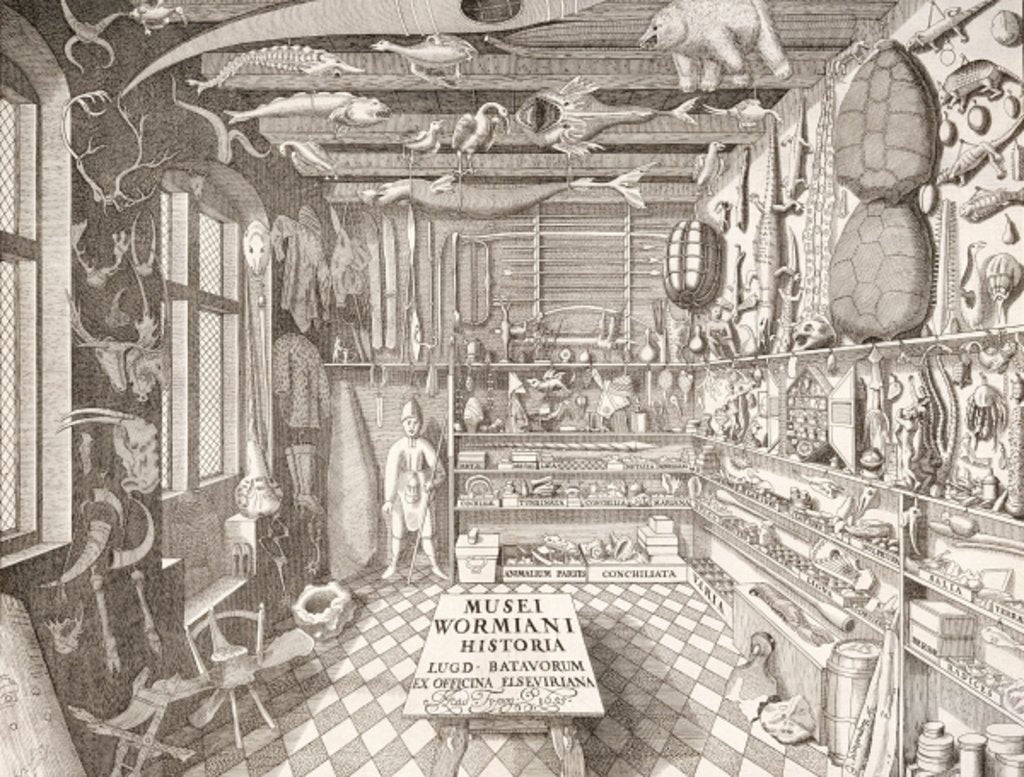 Detail of Museum of Ole Worm, Leiden, 1655 by G. Wingendorp