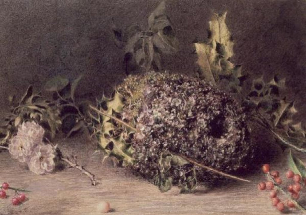 Detail of Long Tailed Tits' Nest by William Henry Hunt