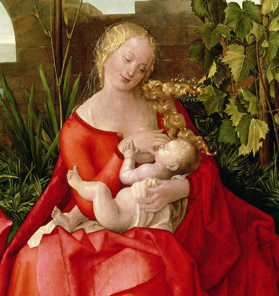 Detail of Virgin and Child 'Madonna with the Iris', 1508 by Albrecht Durer or Duerer