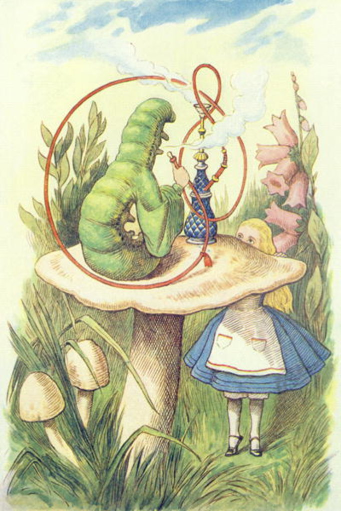 Detail of Alice rencontre la chenille, 1865 by John Tenniel