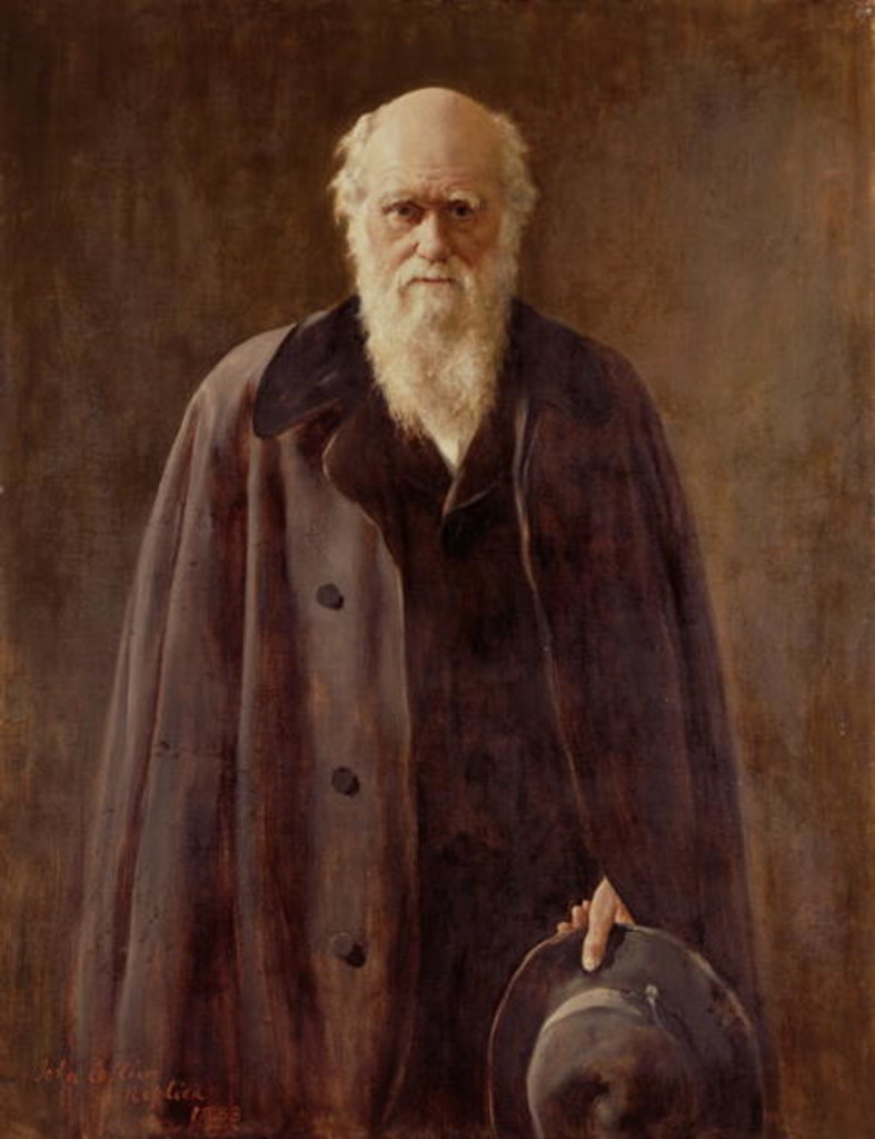 Detail of Portrait of Charles Darwin, 1883 by John Collier