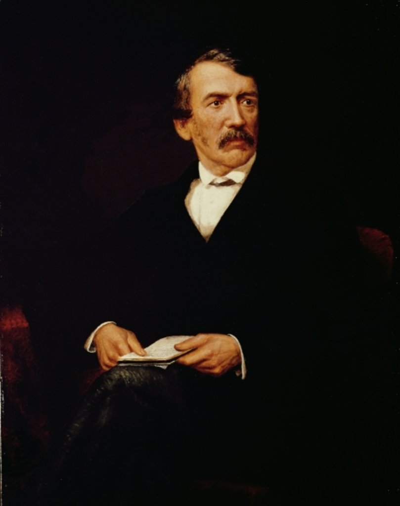 Detail of Portrait of Livingstone by Frederick Havill