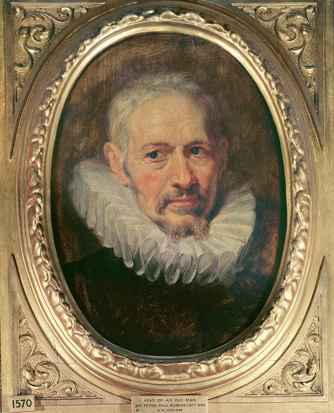 Detail of Head of an Old Man by Peter Paul Rubens