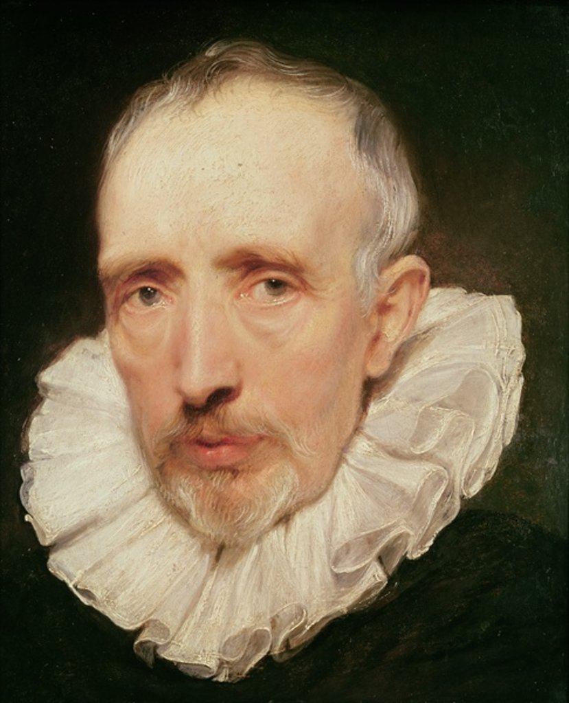 Detail of Portrait of Cornelis van der Geest, c.1620 by Anthony van Dyck