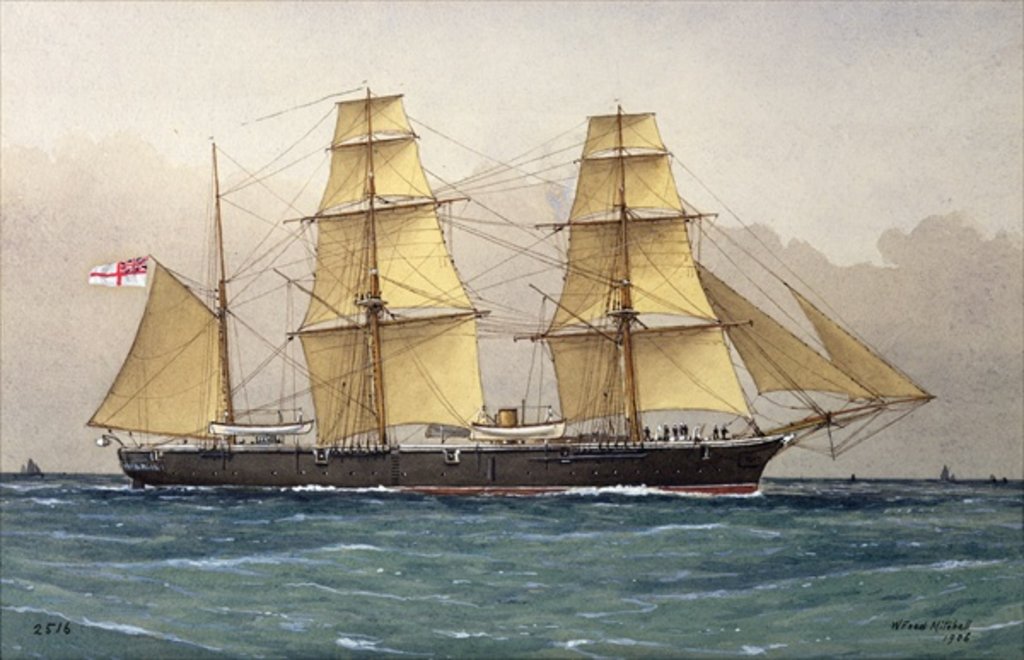 Detail of The Wild Swan, 1906 by William Frederick Mitchell