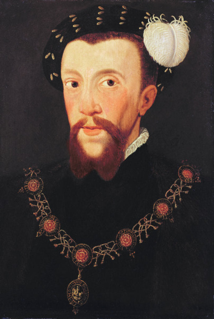 Detail of Portrait of Henry Howard, 1546 by School English