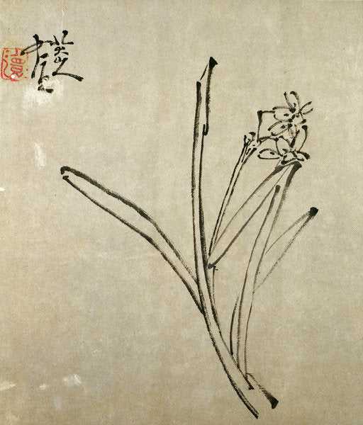 Detail of Narcissus by Ta Chu