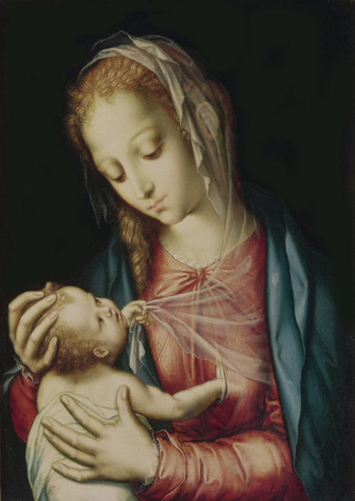 Detail of The Virgin and Child, c.1565-70 by Luis de Morales