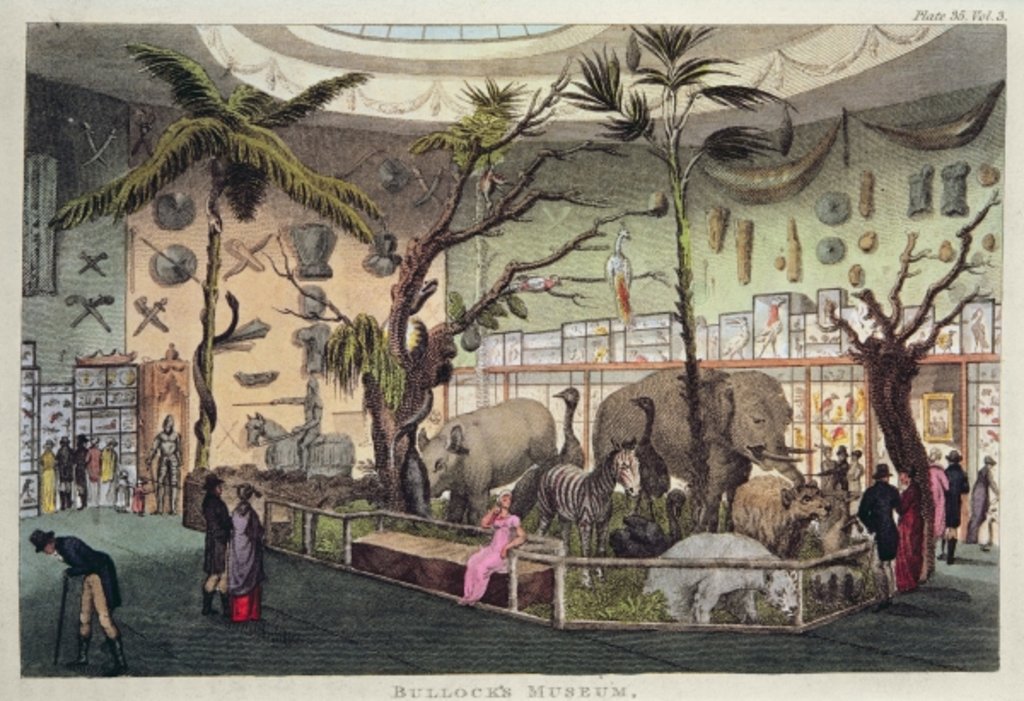 Detail of Bullock's Museum by School English
