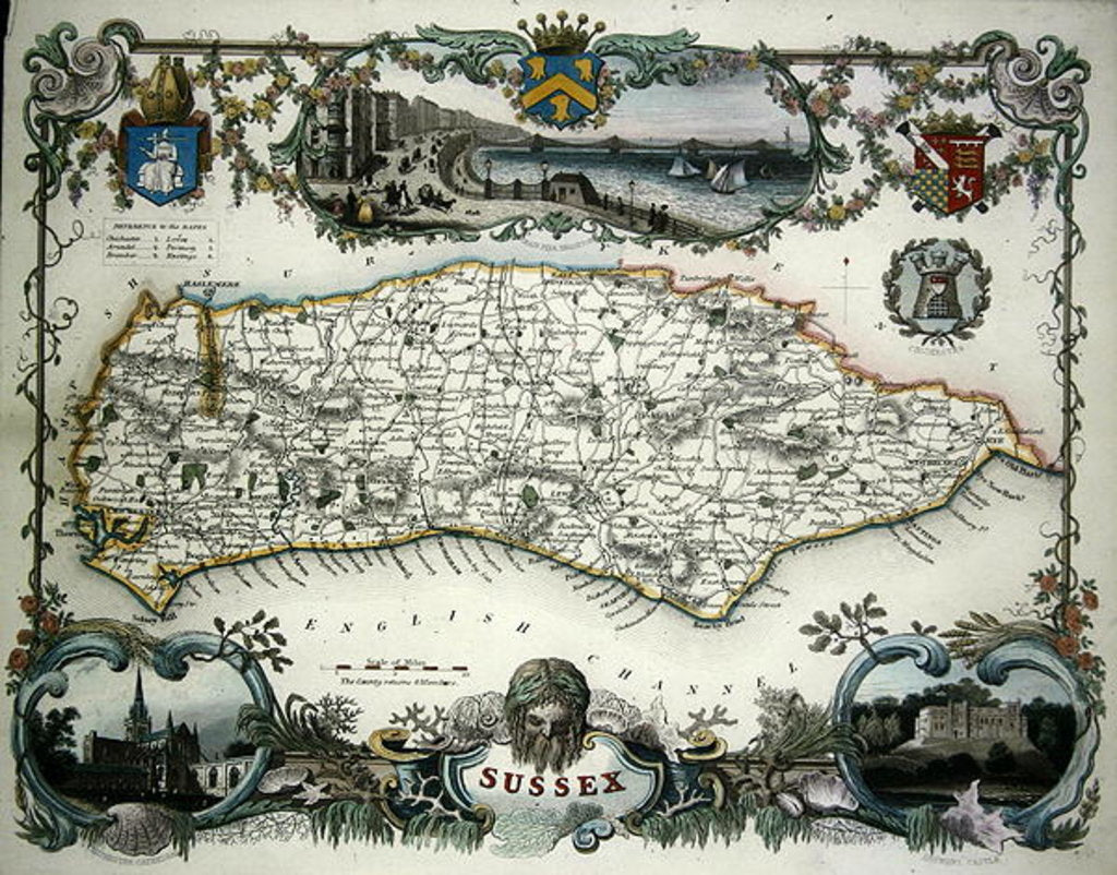 Detail of Map of Sussex by School English