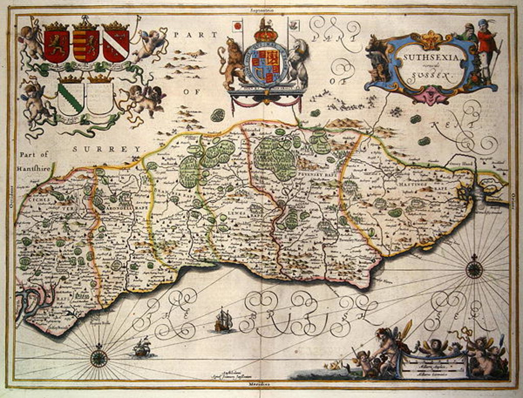 Detail of Map of Sussex by School English